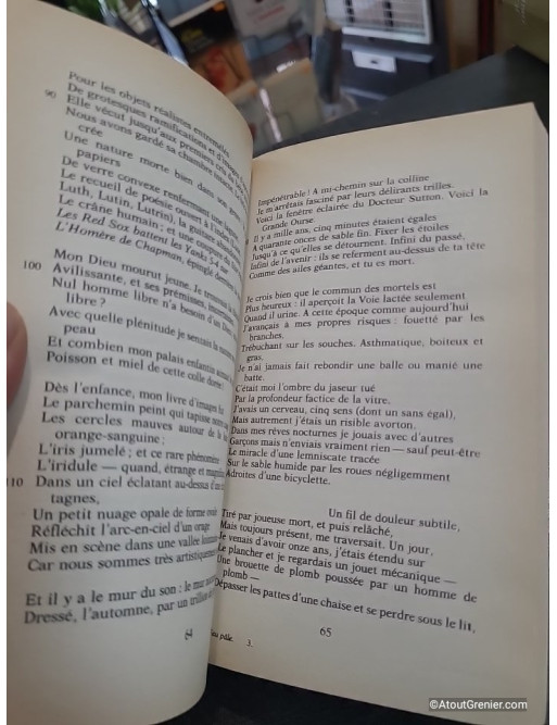 Feu pâle - Vladimir Nabokov