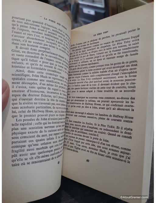 La Fosse aux chiens - John Cowper Powys