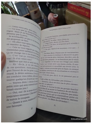 Voyages avec un âne dans les Cévennes - Robert Louis Stevenson