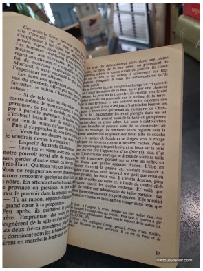 Les Mille Et Une Nuits Tome 1 : Dames Insignes Et Serviteurs Galants - René R. Khawam