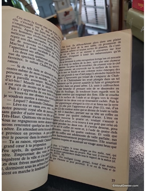 Les Mille Et Une Nuits Tome 1 : Dames Insignes Et Serviteurs Galants - René R. Khawam