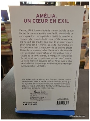 Amélia, un cœur en exil - Marie-Bernadette Dupuy
