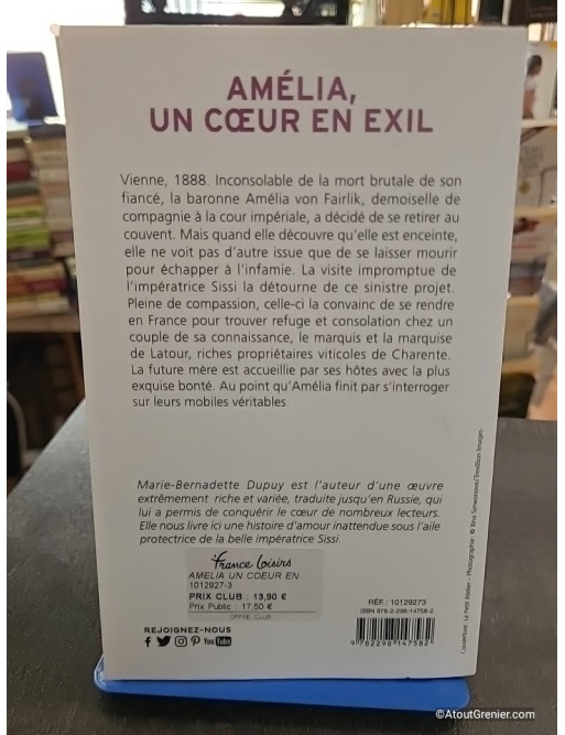 Amélia, un cœur en exil - Marie-Bernadette Dupuy