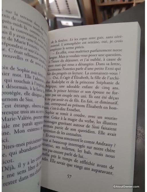 Amélia, un cœur en exil - Marie-Bernadette Dupuy
