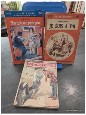 Lot de 3 romans populaires
