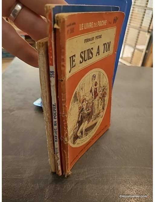Lot de 3 romans populaires