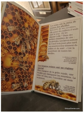 Abeilles, fourmis, termites : des insectes en famille - Marie Farré
