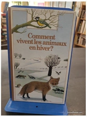 Comment vivent les animaux en hiver ? - Catherine de Sairigné