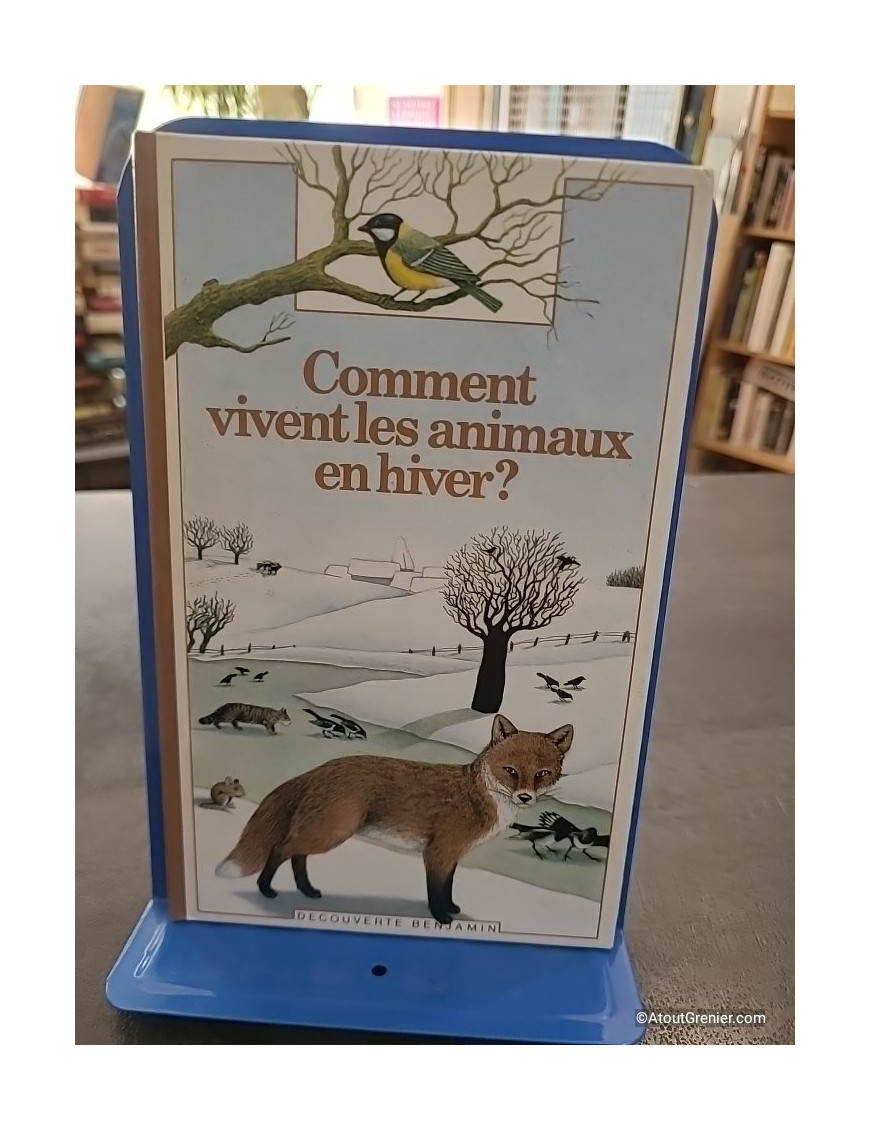 Comment vivent les animaux en hiver ? - Catherine de Sairigné