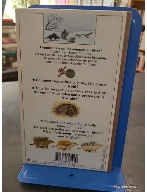 Comment vivent les animaux en hiver ? - Catherine de Sairigné