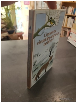 Comment vivent les animaux en hiver ? - Catherine de Sairigné