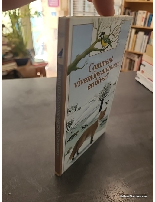 Comment vivent les animaux en hiver ? - Catherine de Sairigné