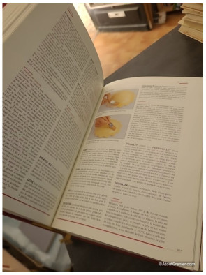 Larousse gastronomique - Joël Robuchon