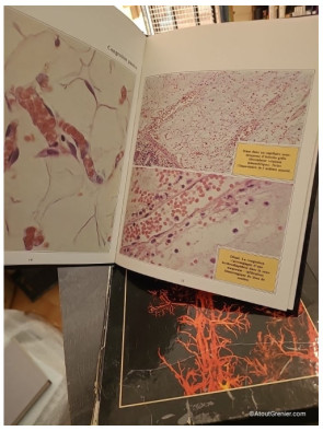 Documentation scientifique des Laboratoires Beytout - Coffret complet des 3 tomes