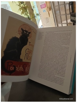 Dictionnaire amoureux des chats - Version illustrée - Frédéric Vitoux