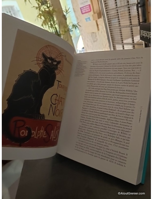 Dictionnaire amoureux des chats - Version illustrée - Frédéric Vitoux