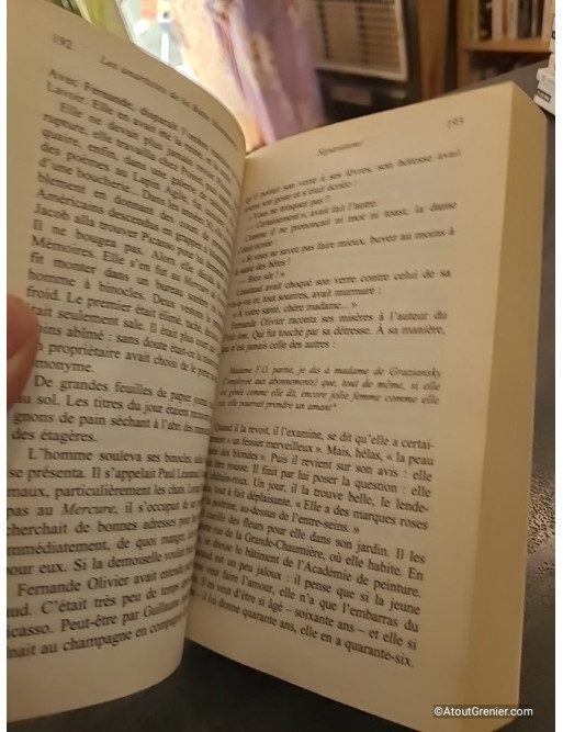 Bohèmes - Les Aventures de l'Art moderne 1900-1930 - Dan Franck