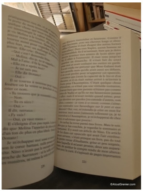L'amie prodigieuse Tome 2 - Le nouveau nom - Elena Ferrante