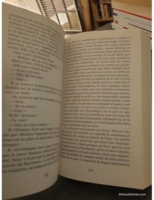 L'amie prodigieuse Tome 2 - Le nouveau nom - Elena Ferrante