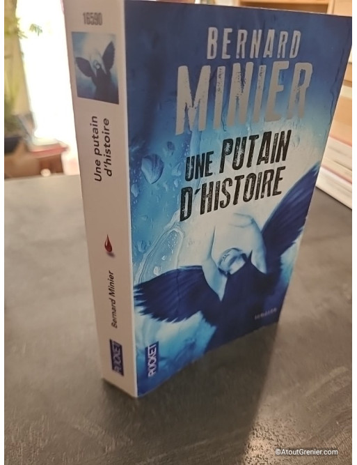 Une putain d'histoire - Bernard Minier