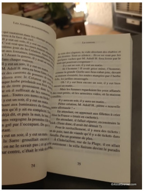 Les Années Buissonnières - Roger Bichelberger