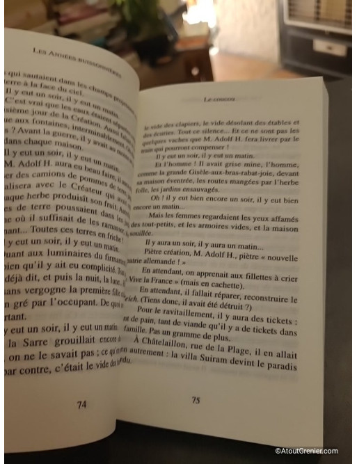 Les Années Buissonnières - Roger Bichelberger