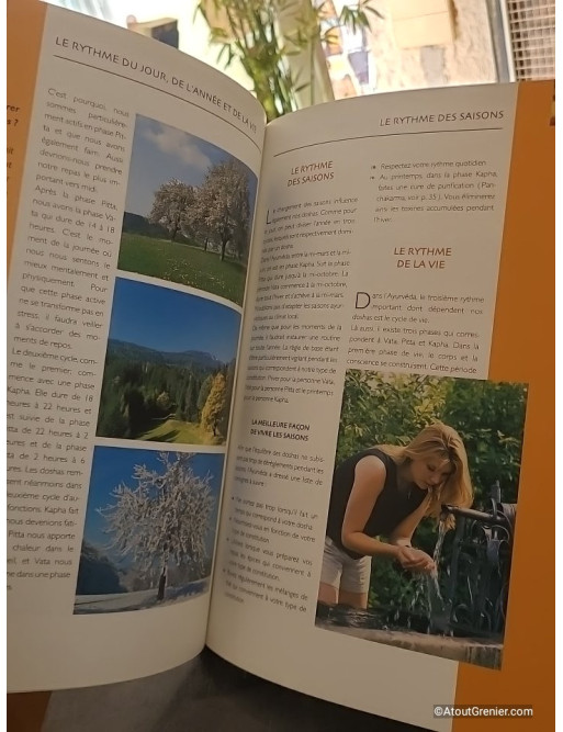 Ayurveda. Un Programme Complet Pour Votre Bien-Etre - Georgia Schwarz