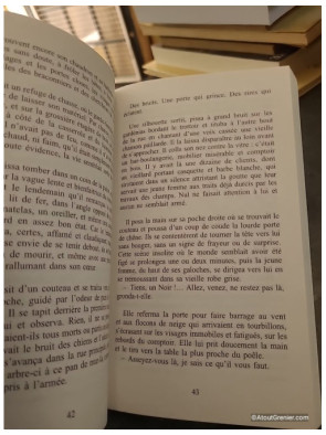 Le Terroriste Noir - Tierno Monénembo