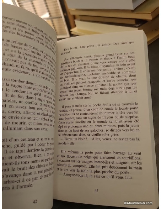 Le Terroriste Noir - Tierno Monénembo
