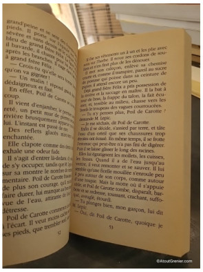 Poil de carotte - Jules Renard