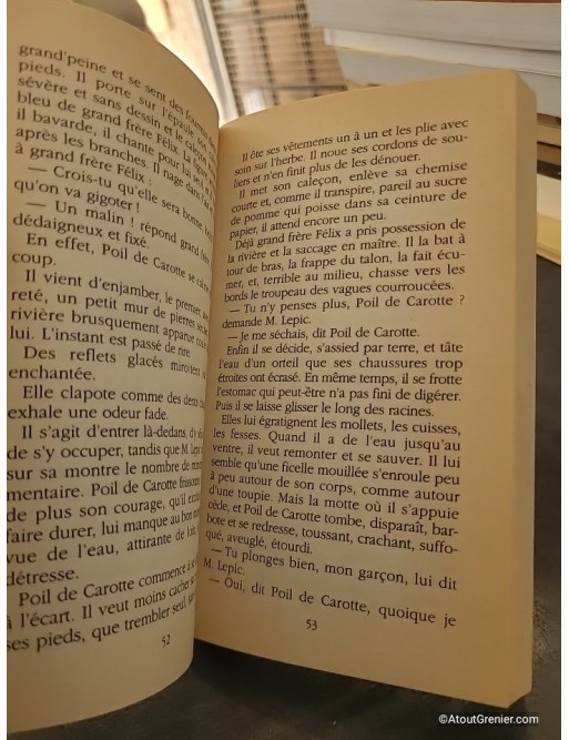 Poil de carotte - Jules Renard