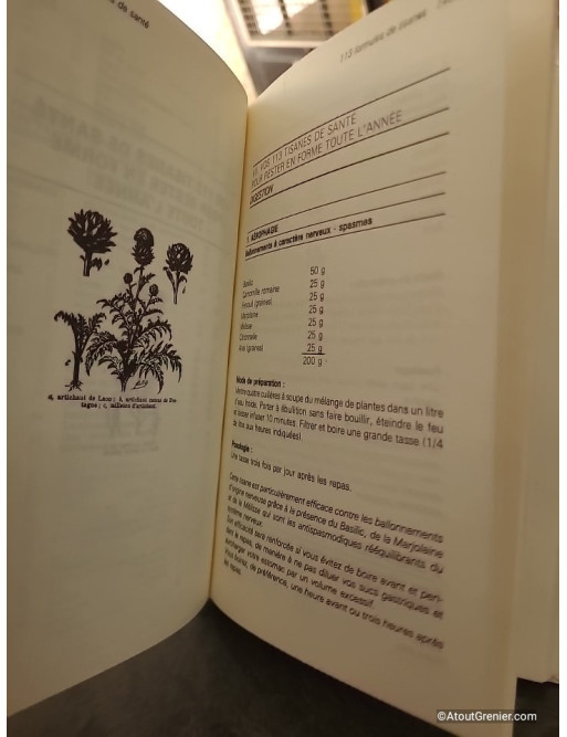 Mes secrets de santé par les plantes, tisanes et médecines naturelles - Michel et Roseline Bontemps
