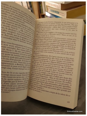 Le guerrier pacifique - Dan Millman