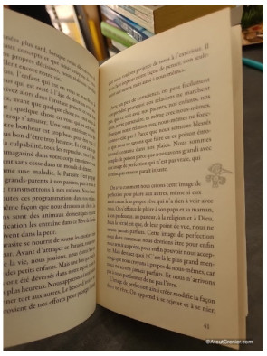 La maîtrise de l'amour - Apprendre l'art des relations - Miguel Ruiz