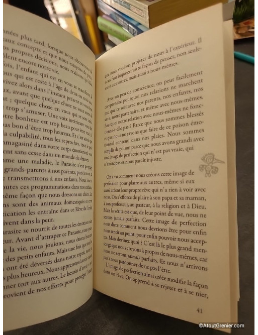 La maîtrise de l'amour - Apprendre l'art des relations - Miguel Ruiz