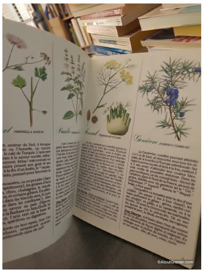 La Cuisine Aux Herbes Et Aux Epices, Façon Ducros - Ducros
