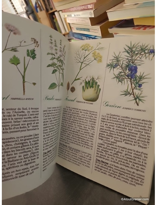 La Cuisine Aux Herbes Et Aux Epices, Façon Ducros - Ducros