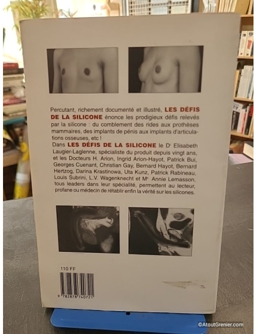 Les défis de la silicone - Elisabeth Laugier-Laglenne