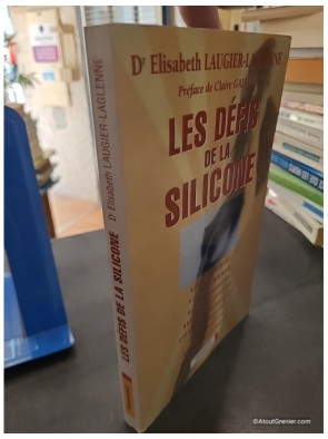 Les défis de la silicone - Elisabeth Laugier-Laglenne