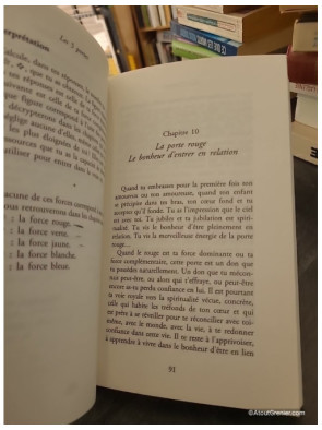 Les 5 portes - Trouve le chemin de ta spiritualité - Fabrice Midal