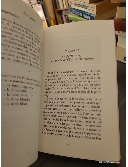 Les 5 portes - Trouve le chemin de ta spiritualité - Fabrice Midal