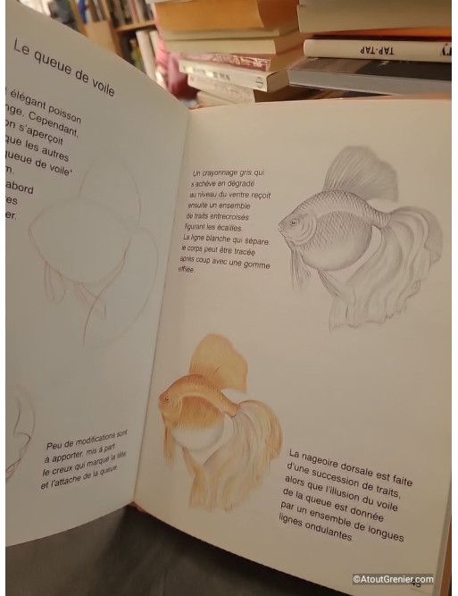 Apprendre à dessiner de A à Z - Pierre Porte