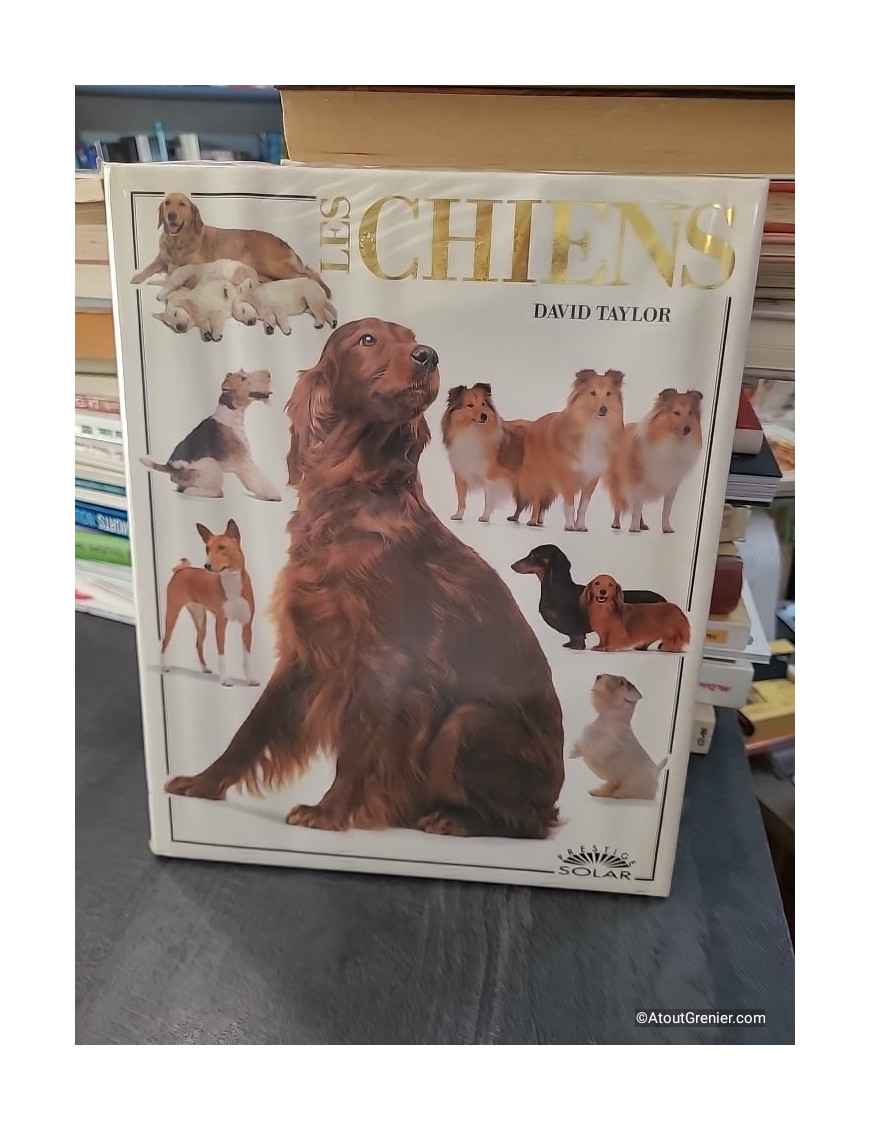 Les chiens - Prestige - David Taylor