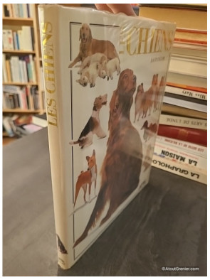 Les chiens - Prestige - David Taylor