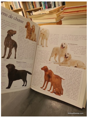 Les chiens - Prestige - David Taylor