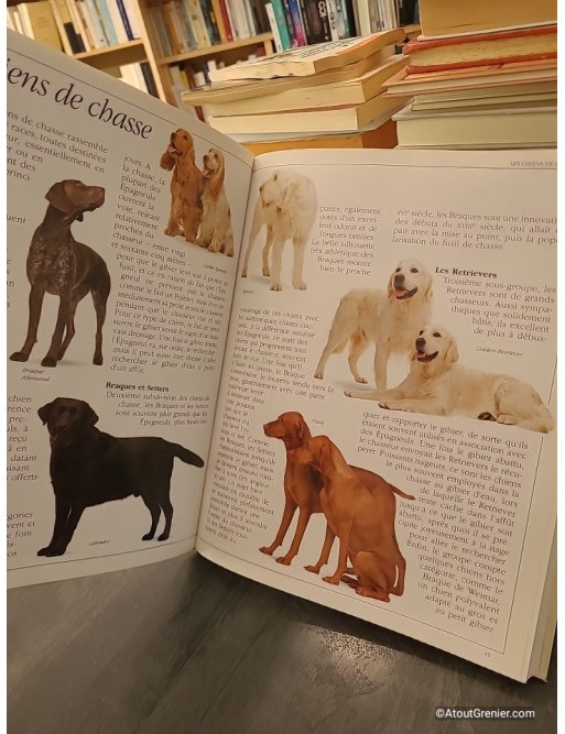 Les chiens - Prestige - David Taylor