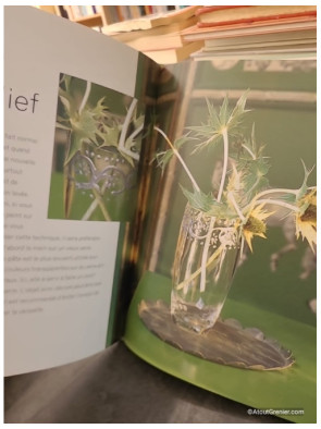 Décorez vases et pots. Idées de créations à réaliser vous-même - Stephanie Donaldson