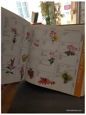 1001 Trucs Et Astuces Pour Le Jardin - Gérard Chenuet