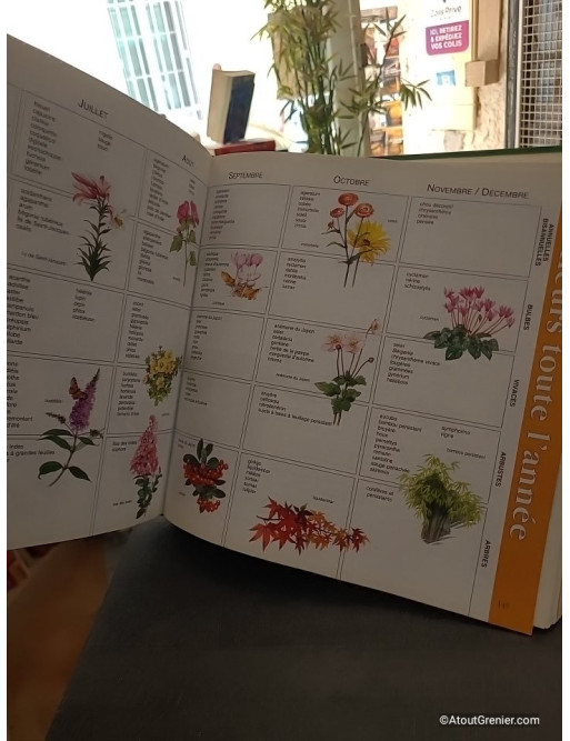 1001 Trucs Et Astuces Pour Le Jardin - Gérard Chenuet