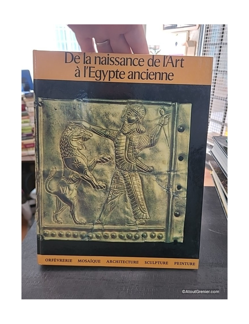 De la naissance de l'art à l'Égypte ancienne - Maurizio Bonicatti